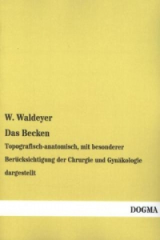 Książka Das Becken W. Waldeyer