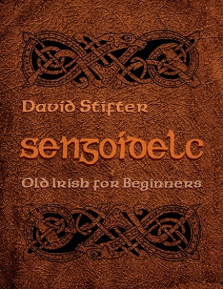 Kniha Sengoidelc David Stifter