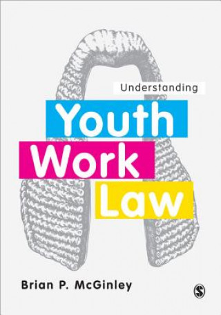 Knjiga Understanding Youth Work Law Brian McGinley