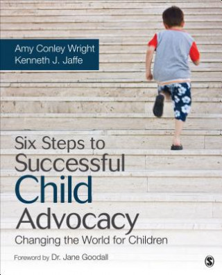 Könyv Six Steps to Successful Child Advocacy Amy Conley Wright