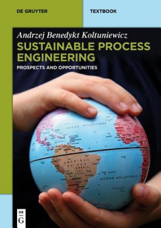 Книга Sustainable Process Engineering Andrzej Benedykt Koltuniewicz