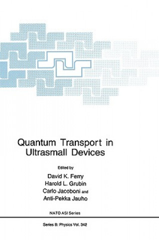 Buch Quantum Transport in Ultrasmall Devices David K. Ferry