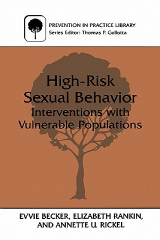 Kniha High-Risk Sexual Behavior Evvie Becker