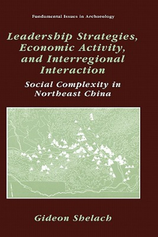 Könyv Leadership Strategies, Economic Activity, and Interregional Interaction Gideon Shelach