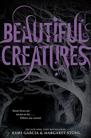 Książka Beautiful Creatures Kami Garcia