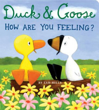 Kniha Duck & Goose, How Are You Feeling? Tad Hills
