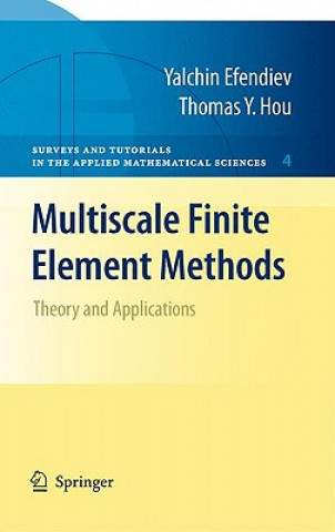 Könyv Multiscale Finite Element Methods Yalchin Efendiev