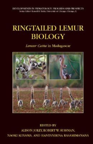 Könyv Ringtailed Lemur Biology Alison Jolly