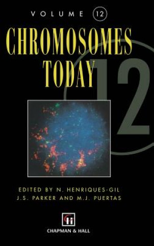 Kniha Chromosomes Today N. Henriquez-Gil