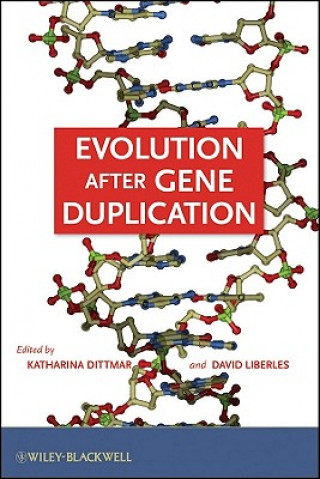 Buch Evolution after Gene Duplication Katharina Dittmar