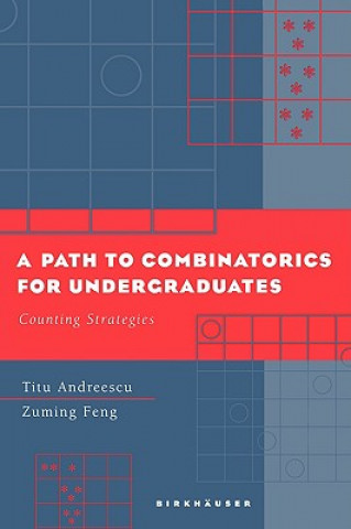 Kniha Path to Combinatorics for Undergraduates Titu Andreescu