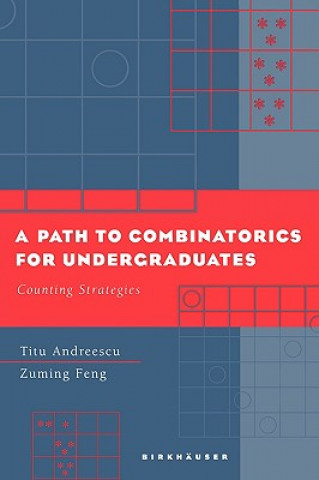 Buch Path to Combinatorics for Undergraduates Titu Andreescu