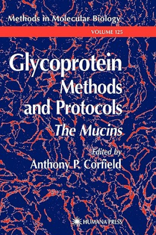 Kniha Glycoprotein Methods and Protocols Anthony P. Corfield