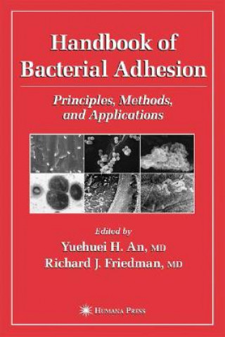 Kniha Handbook of Bacterial Adhesion Yuehuei H. An