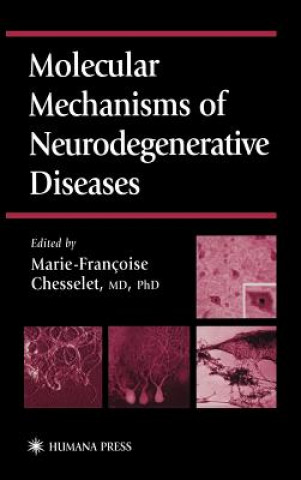 Kniha Molecular Mechanisms of Neurodegenerative Diseases Marie-Francoise Chesselet