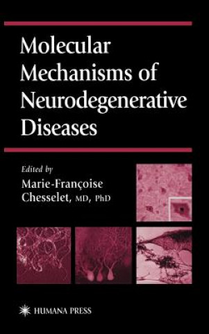 Book Molecular Mechanisms of Neurodegenerative Diseases Marie-Francoise Chesselet