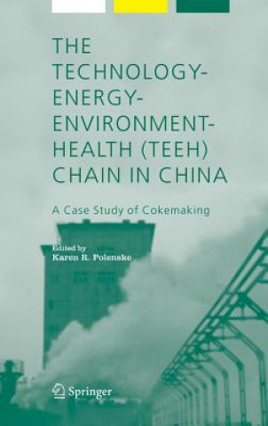 Książka Technology-Energy-Environment-Health (TEEH) Chain In China Karen R. Polenske