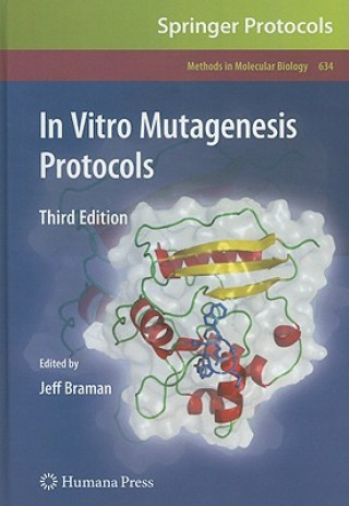 Książka In Vitro Mutagenesis Protocols Jeff Braman