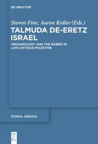 Kniha Talmuda de-Eretz Israel Steven Fine