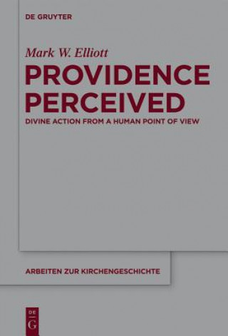 Kniha Providence Perceived Mark W. Elliott