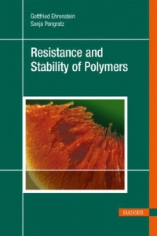 Книга Resistance and Stability of Polymers Gottfried W. Ehrenstein
