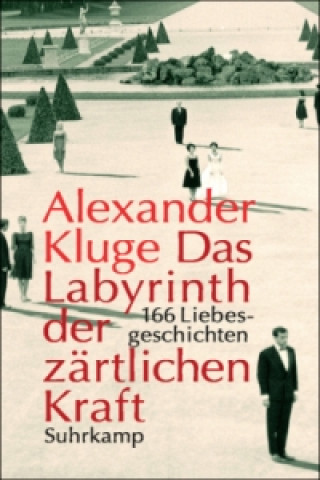 Könyv Das Labyrinth der zärtlichen Kraft, m. DVD Alexander Kluge