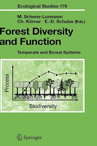 Książka Forest Diversity and Function Michael Scherer-Lorenzen