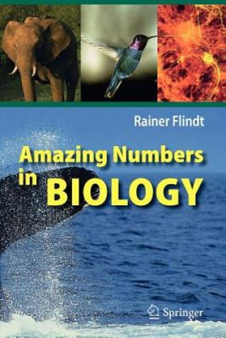 Kniha Amazing Numbers in Biology Rainer Flindt
