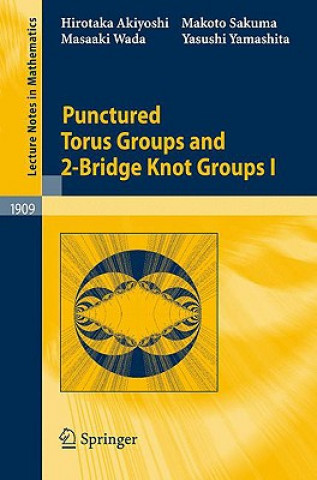 Könyv Punctured Torus Groups and 2-Bridge Knot Groups (I) Hirotaka Akiyoshi