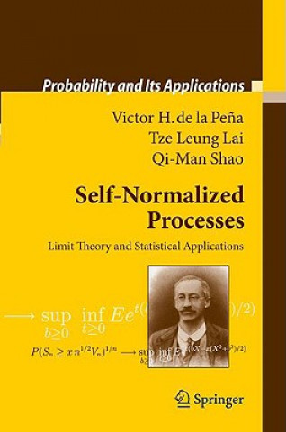 Könyv Self-Normalized Processes Victor H. de la Pe