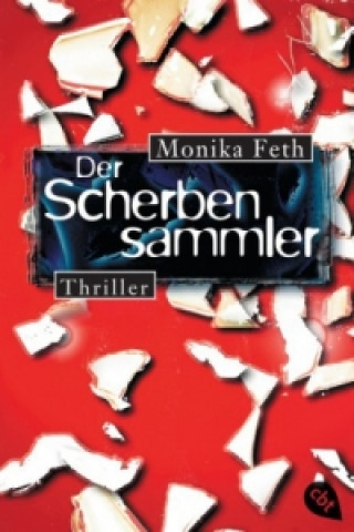 Kniha Der Scherbensammler Monika Feth