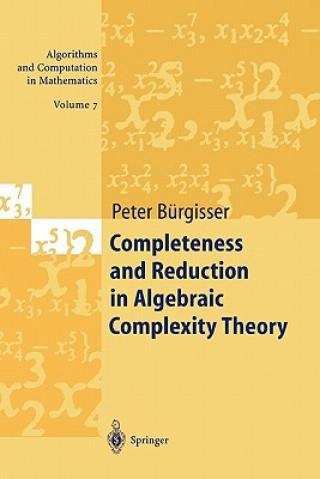 Könyv Completeness and Reduction in Algebraic Complexity Theory Peter Bürgisser