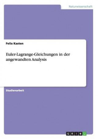 Könyv Euler-Lagrange-Gleichungen in der angewandten Analysis Felix Kasten