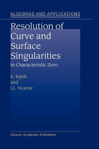 Kniha Resolution of Curve and Surface Singularities in Characteristic Zero K. Kiyek