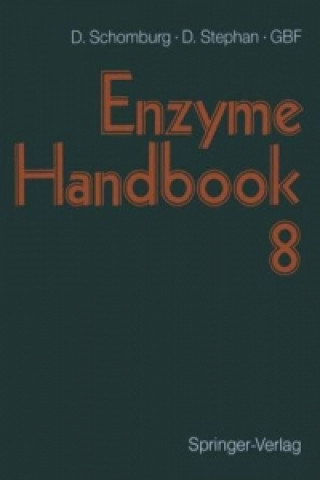 Könyv Enzyme Handbook Dietmar Schomburg