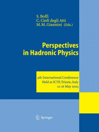 Kniha Perspectives in Hadronic Physics Sigfrido Boffi