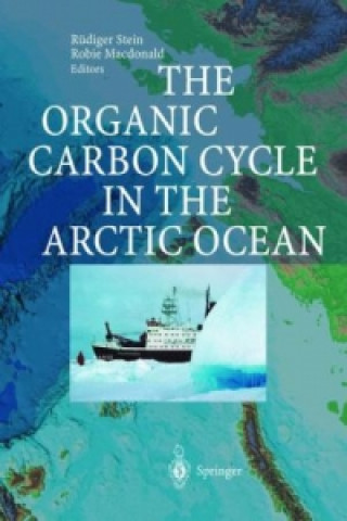 Książka Organic Carbon Cycle in the Arctic Ocean Rüdiger Stein