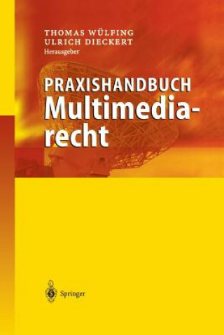 Könyv Praxishandbuch Multimediarecht Thomas Wülfing