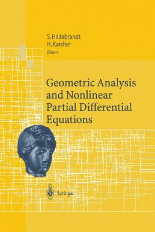 Könyv Geometric Analysis and Nonlinear Partial Differential Equations Stefan Hildebrandt