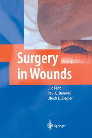 Könyv Surgery in Wounds Luc Téot