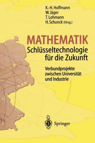 Carte Mathematik Schl sseltechnologie F r Die Zukunft K.-H. Hoffmann