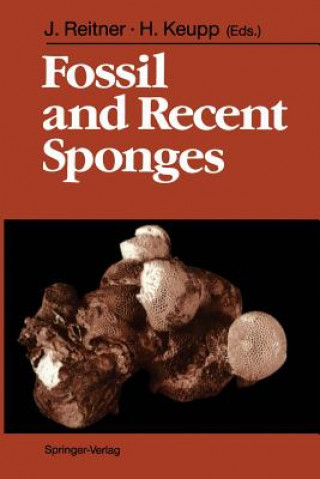 Kniha Fossil and Recent Sponges Joachim Reitner