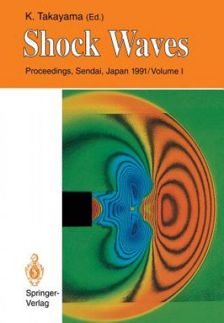 Buch Shock Waves Kazuyoshi Takayama