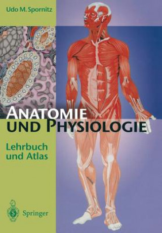 Könyv Anatomie Und Physiologie Udo M. Spornitz