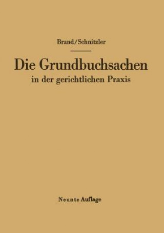Kniha Die Grundbuchsachen in Der Gerichtlichen Praxis Arthur Brand