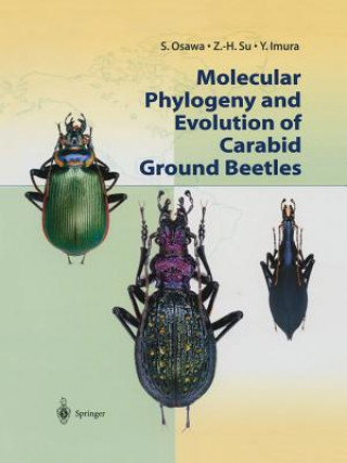 Könyv Molecular Phylogeny and Evolution of Carabid Ground Beetles S. Osawa