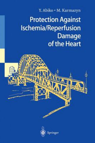 Könyv Protection Against Ischemia/Reperfusion Damage of the Heart Yasushi Abiko