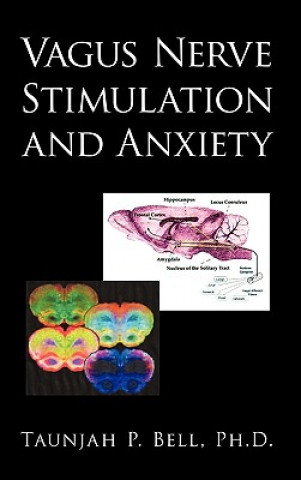Kniha Vagus Nerve Stimulation and Anxiety Taunjah P. Bell Ph.D.