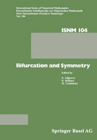 Kniha Bifurcation and Symmetry ÖHMER