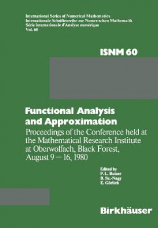 Buch Functional Analysis and Approximation P.L. Butzer